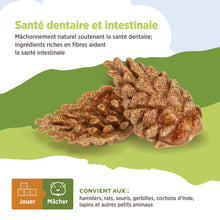 Load image into Gallery viewer, Living World Jouet à mâcher comestible - Pommes de pin - Brun - Paquet de 6 - 66 gr
