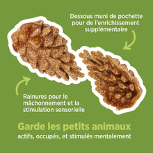 Load image into Gallery viewer, Living World Jouet à mâcher comestible - Pommes de pin - Brun - Paquet de 6 - 66 gr

