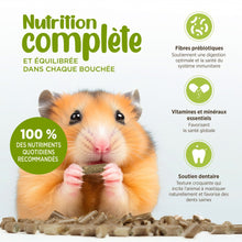 Load image into Gallery viewer, Mélange d'aliments granulés Living World pour petit animaux - 900 gr
