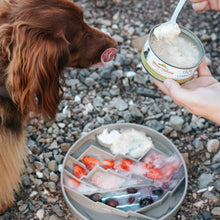 Load image into Gallery viewer, Messy Mutts Bol d&#39;alimentation en silicone - Gris à motif de montagnes
