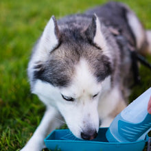 Load image into Gallery viewer, Messy Mutts Bouteille d&#39;eau de voyage compressible avec bol amovible, Bleue
