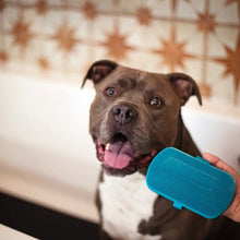 Load image into Gallery viewer, Messy Mutts Brosse de toilettage à double face en silicone, Bleue
