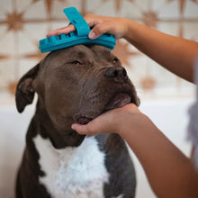 Load image into Gallery viewer, Messy Mutts Brosse de toilettage à double face en silicone, Bleue
