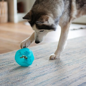 Messy Mutts "Totally Pooched, Stuff'n Wobble Ball" Jouet Interactif Pour Chien, Bleu