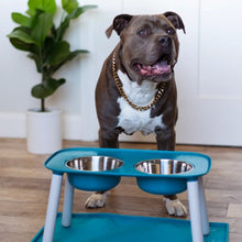 Load image into Gallery viewer, Messy Mutts Bol double surélevé avec pattes ajustables, Gris clair
