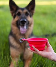 Load image into Gallery viewer, Messy Mutts Bol en silicone rétractable, Bleu
