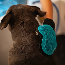 Load image into Gallery viewer, Messy Mutts Gant De Toilettage Avec brosse en silicone, Bleu
