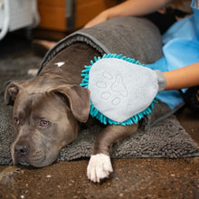 Load image into Gallery viewer, Messy Mutts Gant de toilettage en microfibre chenille, Bleu
