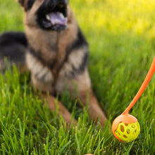 Charger l&#39;image dans la galerie, Messy Mutts &#39;&#39;Totally Pooched, Huff&#39;n Puff Ball&#39;&#39; Jouet balle pour chien, Bleue
