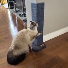 Load image into Gallery viewer, Noba Griffoir et Protecteur de Coin pour Chat - 23 pouces - Noir
