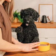 Load image into Gallery viewer, Nourriture crue pour chien Faim Museau - Poulet et dinde
