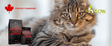 Load image into Gallery viewer, harlow blend nourriture pour chat_nourriture_canadienne_pour_chat
