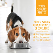 Load image into Gallery viewer, Nutrience garnitures Style maison pour chiens - Poulet bouddha - 152 gr
