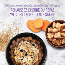 Load image into Gallery viewer, Nutrience garnitures Style maison pour chiens - Poulet et quinoa - 152 gr
