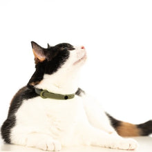 Load image into Gallery viewer, Nuvuq Collier ajustable avec attache de sécurité pour chat - Vert olive
