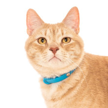 Charger l&#39;image dans la galerie, Nuvuq Collier ajustable avec attache de sécurité pour chat, Bleu bleuet
