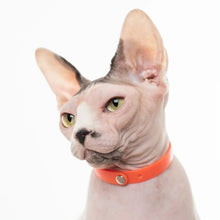 Charger l&#39;image dans la galerie, Nuvuq Collier ajustable avec attache de sécurité pour chat, Orange tangerine
