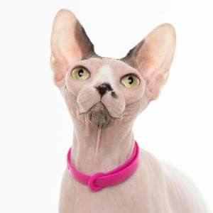 Nuvuq Collier ajustable avec attache de sécurité pour chat, Rose framboise