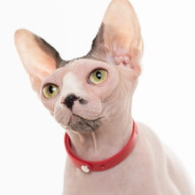 Charger l&#39;image dans la galerie, Nuvuq Collier ajustable avec attache de sécurité pour chat, Rouge tomate
