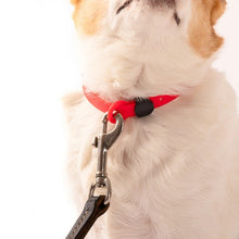 Load image into Gallery viewer, Nuvuq Collier ajustable pour mini chien, Rouge tomate
