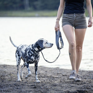 Nuvuq Laisse multifonctionnelle pour chien, Poivre noir