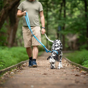 Nuvuq Laisse multifonctionnelle pour chien, Bleu Bleuet