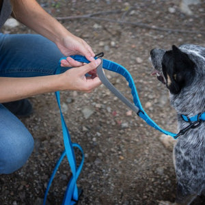 Nuvuq Laisse multifonctionnelle pour chien, Bleu Bleuet