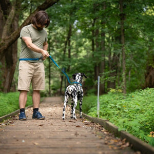 Nuvuq Laisse multifonctionnelle pour chien, Bleu Bleuet