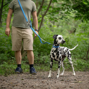 Nuvuq Laisse multifonctionnelle pour chien, Bleu Bleuet