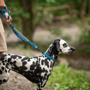 Nuvuq Laisse multifonctionnelle pour chien, Bleu Bleuet