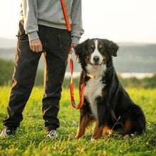 Load image into Gallery viewer, Nuvuq Laisse multifonctionnelle pour chien, Orange tangerine
