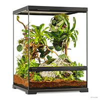 Load image into Gallery viewer, Exo Terra Aztec Glass Terrarium, Small, Tall, 18" x 18" x 24" (45 x 45 x 60 cm)
