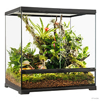 Load image into Gallery viewer, Terrarium professionnel Exo Terra - habitat avancé naturel - moyen/haut - 60 x 45 x 60 cm (24 x 18 x 24 po)
