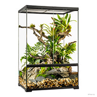 Load image into Gallery viewer, Exo Terra Tiki Terrarium, mini, tall, 12 x 12 x 18 in (30 x 30 x 45 cm)
