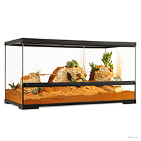 Load image into Gallery viewer, Exo Terra Glass Terrarium, Mini, Large, W. 30 x D. 30 x H. 30 cm (W. 12 x D. 12 x H. 12 in)
