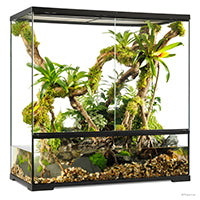 Load image into Gallery viewer, Exo Terra Glass Terrarium, Nano, Large, W. 20 x D. 20 x H. 20 cm (L. 8 x D. 8 x H. 8 in)
