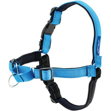 Load image into Gallery viewer, PetSafe Harnais pour chien deluxe &quot;Easy Walk&quot; - Bleu
