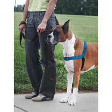 Load image into Gallery viewer, PetSafe Harnais pour chien deluxe &quot;Easy Walk&quot; - Bleu
