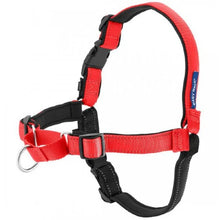 Load image into Gallery viewer, PetSafe Harnais pour chien deluxe &quot;Easy Walk&quot; - Rouge
