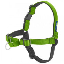 Load image into Gallery viewer, PetSafe Harnais pour chien deluxe "Easy Walk" - Vert

