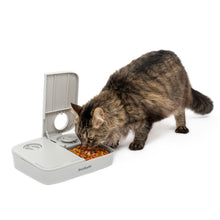 Load image into Gallery viewer, Petsafe Distributeur automatique pour 2 repas
