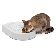Load image into Gallery viewer, Petsafe Distributeur automatique pour 5 repas

