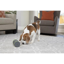 Load image into Gallery viewer, Petsafe Distributeur de gâteries pour chien &quot;Mobile Kibble Chase&quot;
