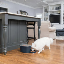 Load image into Gallery viewer, Petsafe Distributeur six repas
