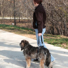 Load image into Gallery viewer, Petsafe Harnais de levage pour chien CareLift - Arrière seulement
