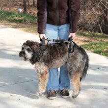 Load image into Gallery viewer, Petsafe Harnais de levage pour chien CareLift - Corps complet
