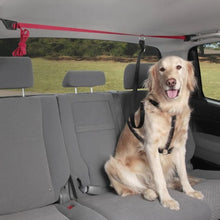 Load image into Gallery viewer, Petsafe Ligne de sécurité pour voiture Pupzip
