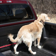 Load image into Gallery viewer, Petsafe Ligne de sécurité pour voiture Pupzip
