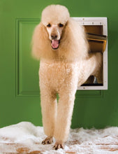 Load image into Gallery viewer, Petsafe Porte extrême méteo - Grande
