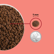 Load image into Gallery viewer, ACANA Chat Plus Forte Teneur En Protéines, Chat d&#39;intérieur
